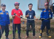 Ular Kobra Masuk Dapur Rumah Warga di Luwu Timur, Damkar Evakuasi