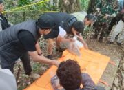 Update! Misteri Penemuan Kerangka Manusia di Palopo Mulai Terungkap