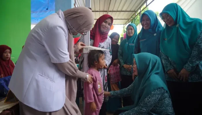 Perangi Stunting, TP-PKK Luwu Turun ke Desa